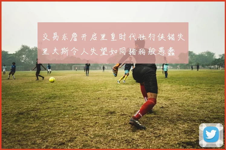 交易东詹开启里皇时代独行侠错失里夫斯令人失望如同猪狗般愚蠢